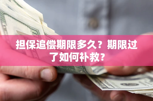 济南担保追偿期限多久？期限过了如何补救？