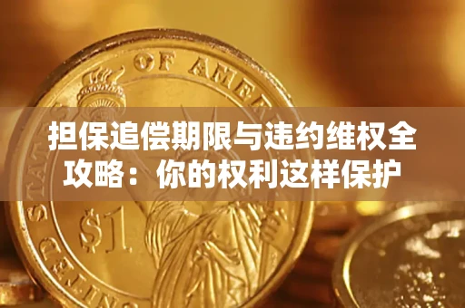 济南担保追偿期限与违约维权全攻略：你的权利这样保护